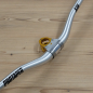 Stem Hippo 35x35 Gold